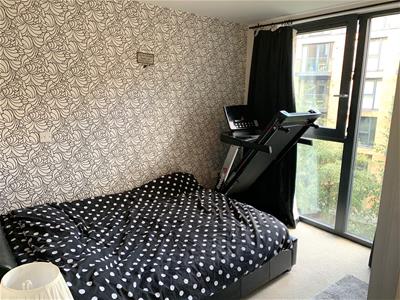 Picture 8